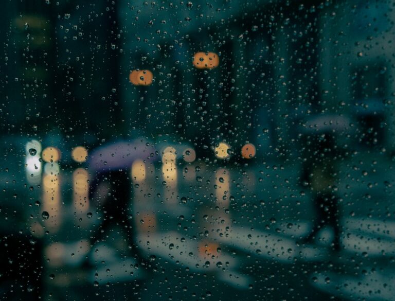 Autumn and Winter Cleaning: Keeping Clean During a Storm