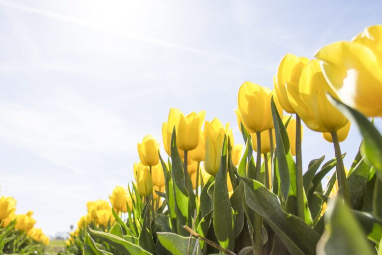 Commercial Cleaning – It’s Time For A Spring Clean