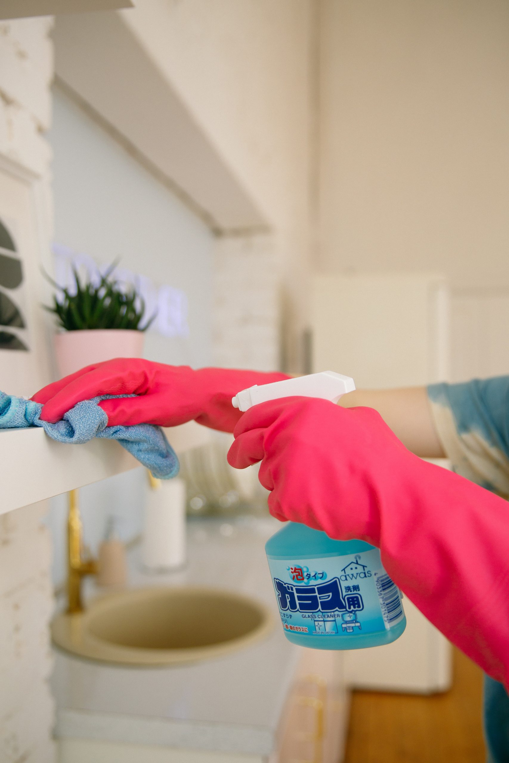 Cleaning Swansea