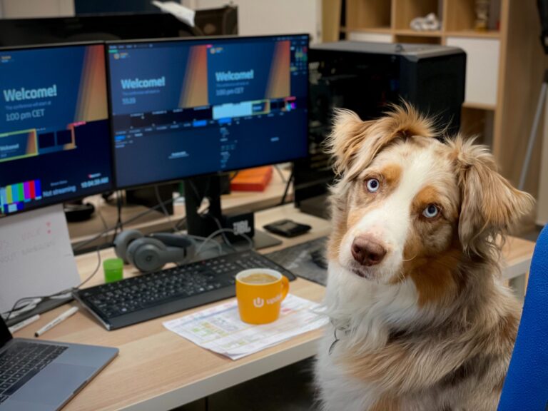 How to keep a dog-friendly workplace clean